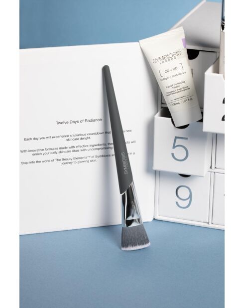 Calendario dell'avvento 12 Days of Radiance