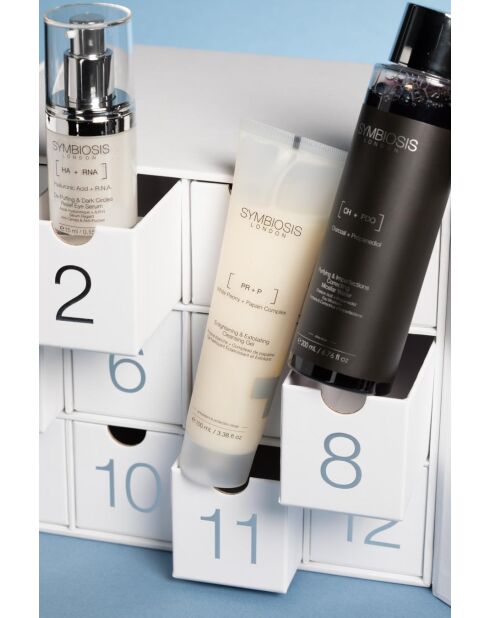 Calendario dell'avvento 12 Days of Radiance