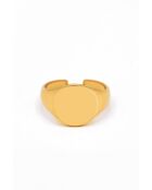 Anillo ajustable de acero inoxidable Suzette