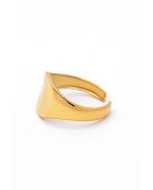 Anillo ajustable de acero inoxidable Suzette