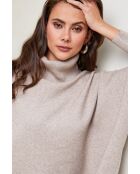 Veya Taupe-Pullover