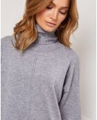 Robe en Cachemire mélangé Abufera grise