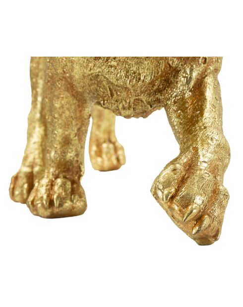 Golden Shant Leopard - 89x21x33 cm