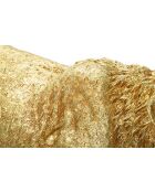 Golden Shant Leopard - 89x21x33 cm