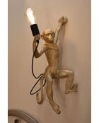 Applique Murale Monkey dorée - 32x32x64 cm