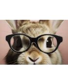 Cuadro lacado con marco Rabbit Cornice - 62.5x2.8x62.5 cm