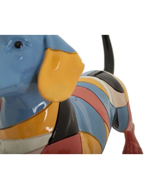 Rubí para perros multicolor - 32,5 x 9,7 x 20,5 cm