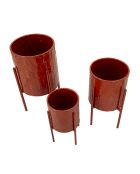 3 rote Archy Topflappen