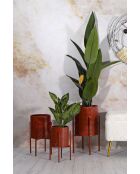 3 rote Archy Topflappen