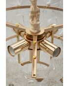 Lustre Ibiscus transparent - 47x30-73 cm