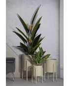 3 soportes para ollas de crema Betsy de Holder