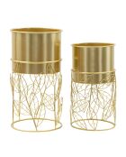 2 presine Livi dorate