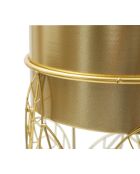 2 presine Livi dorate