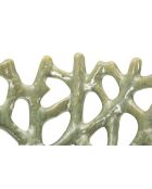 Coupelle Corail verte - 35x13 cm