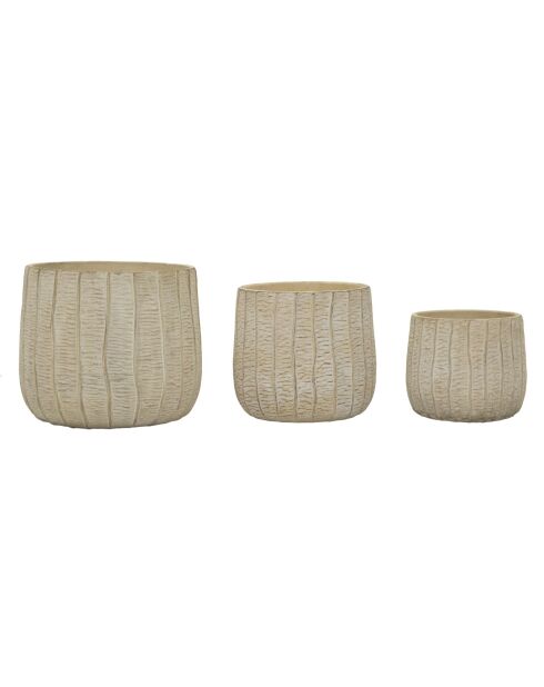 Macetas de crema con 3 escamas