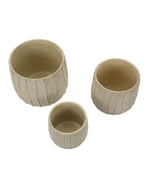 Macetas de crema con 3 escamas