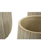 Macetas de crema con 3 escamas