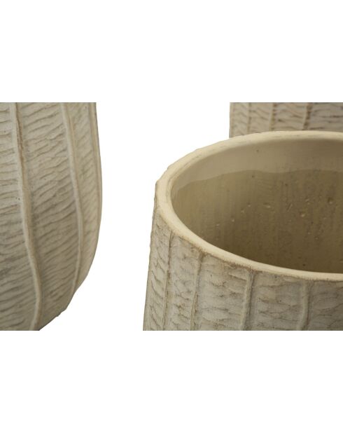 Macetas de crema con 3 escamas