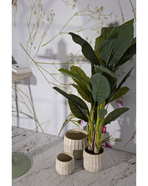 Macetas de crema con 3 escamas