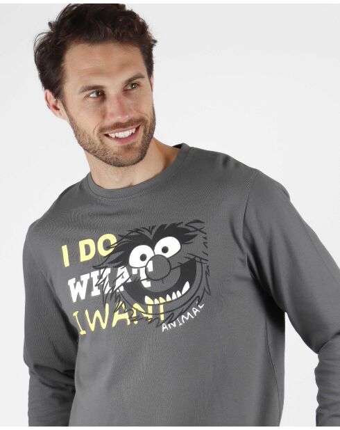 Animal Wants grauer Pyjama