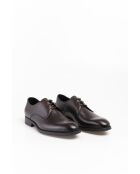 Derbies en Cuir Néris brun foncé