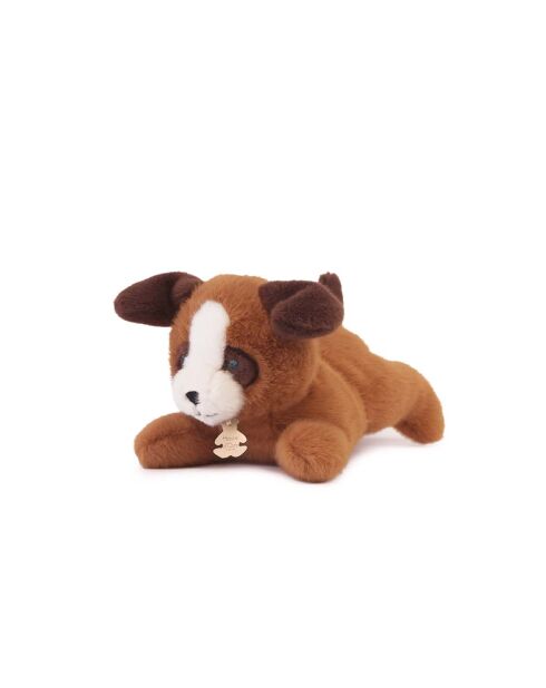 Les P'Tits Relax - Chien Marron PM 22 cm