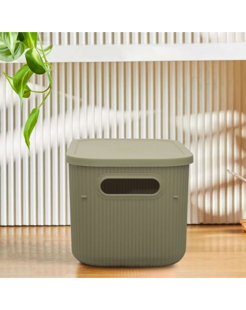 Caja de almacenamiento verde claro - 18x25x16 cm