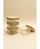 Ensemble de 4 boîtes de rangement transparentes