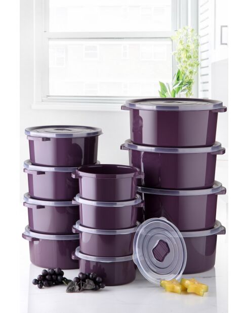 Set di 12 scatole portaoggetti viola