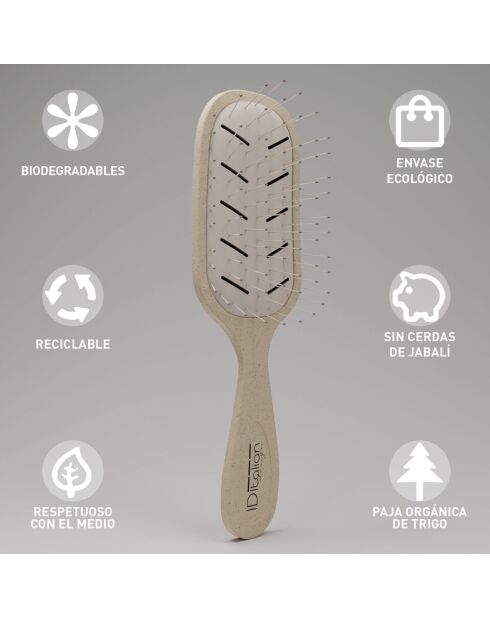 Brosse ano recyclable
