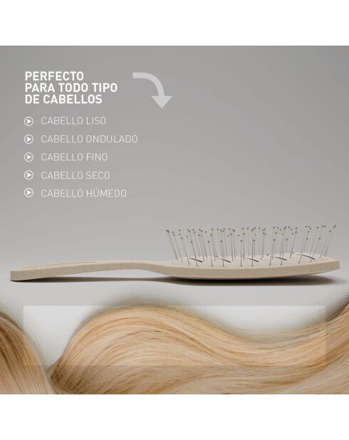 Brosse ano recyclable