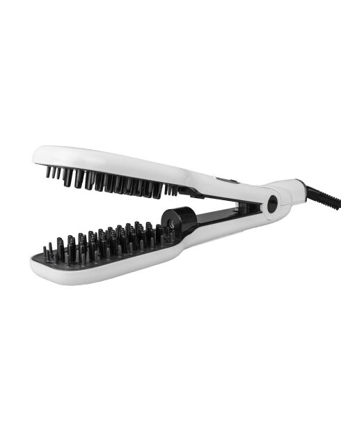Brosse vapeur pro 2.0
