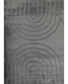 Tapis ALASKA 293 anthracite