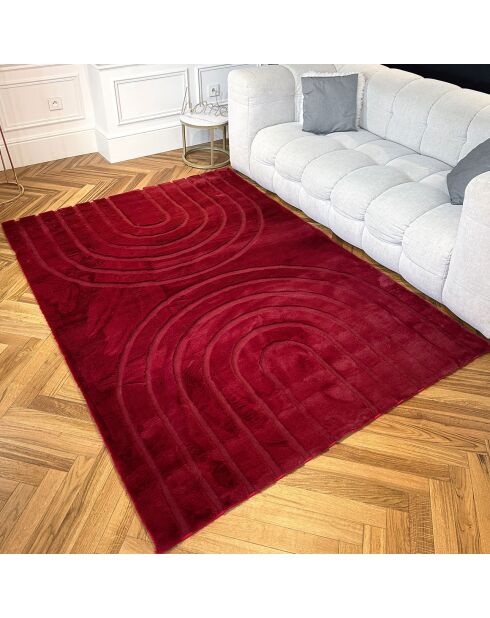 Tapis ALASKA 293 rouge