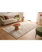 NUBE 6000 grauer Teppich
