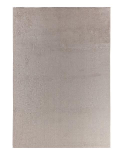 NUBE 6000 grauer Teppich