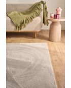NUBE 6000 grauer Teppich