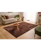 Tapis NUBE 6000 marron