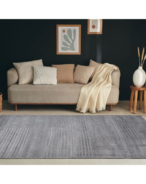 HARMONIE 914 grijs vloerkleed
