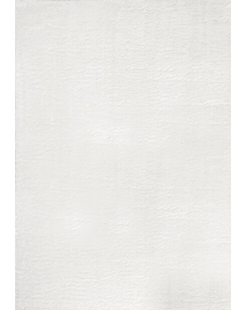 Alfombra Cosy 902 lisa blanca suave y peluda