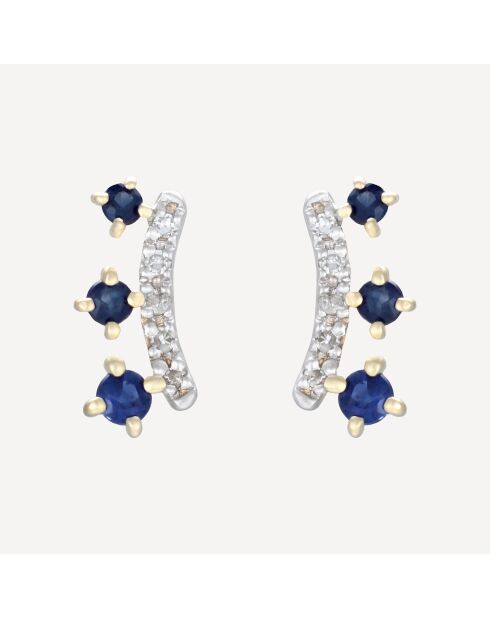 Araceli oorbellen D0.04/10 S0.20/6 geelgoud