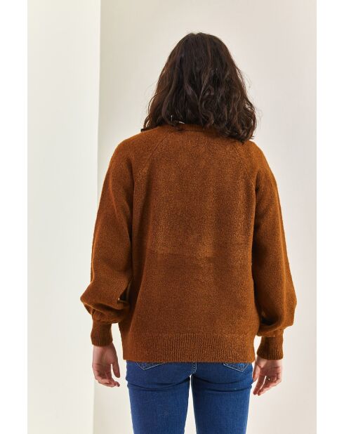 Pull en maille à col roulé boutonné brun