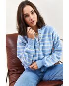 Pull à col roulé rayé avec col boutonné bleu bébé