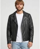 Veste en Cuir Haan noire