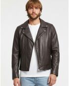 Veste en Cuir Haan marron