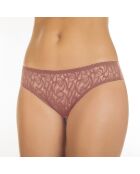 Rosa caffè Shorty Mary-Anna