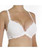 Reggiseno push-up in cotone Ella hard shell avorio