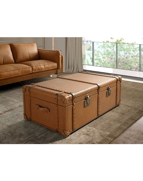 Coffre brun/or - 42x126x74 cm