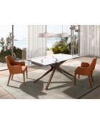 Chaise avec accoudoirs  brun/noyer - 7x54x61 cm