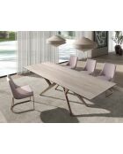 Silla gris/acero - 6,5x50x61 cm